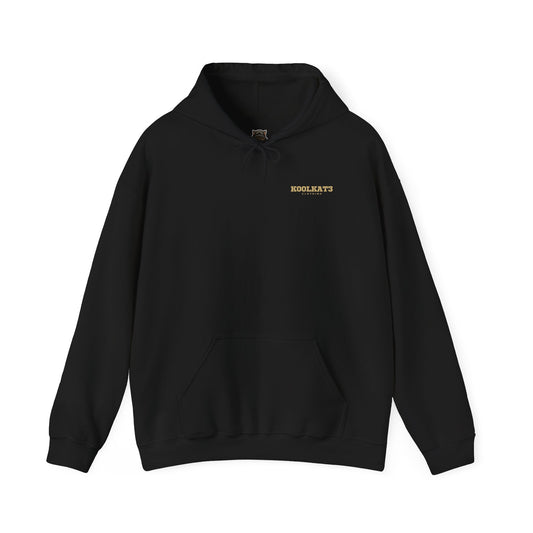 Unisex Hooded Sweatshirt - Cat Lovers Gift, Cozy Casual Wear, Comfortable Hoodie, Fun Streetwear, Unique Birthday Present