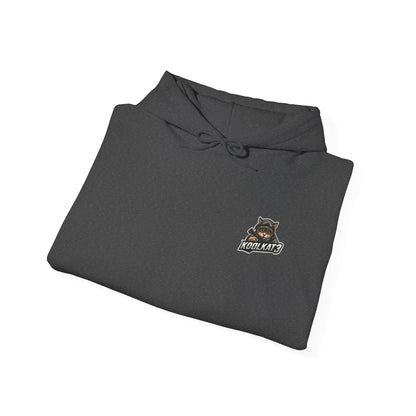 Cool Graphic Hoodie for Gaming Fans, Cozy Sweatshirt for Casual Wear, Unique Gift for Gamers, Stylish Daily Hoodie, Unisex Pull Over