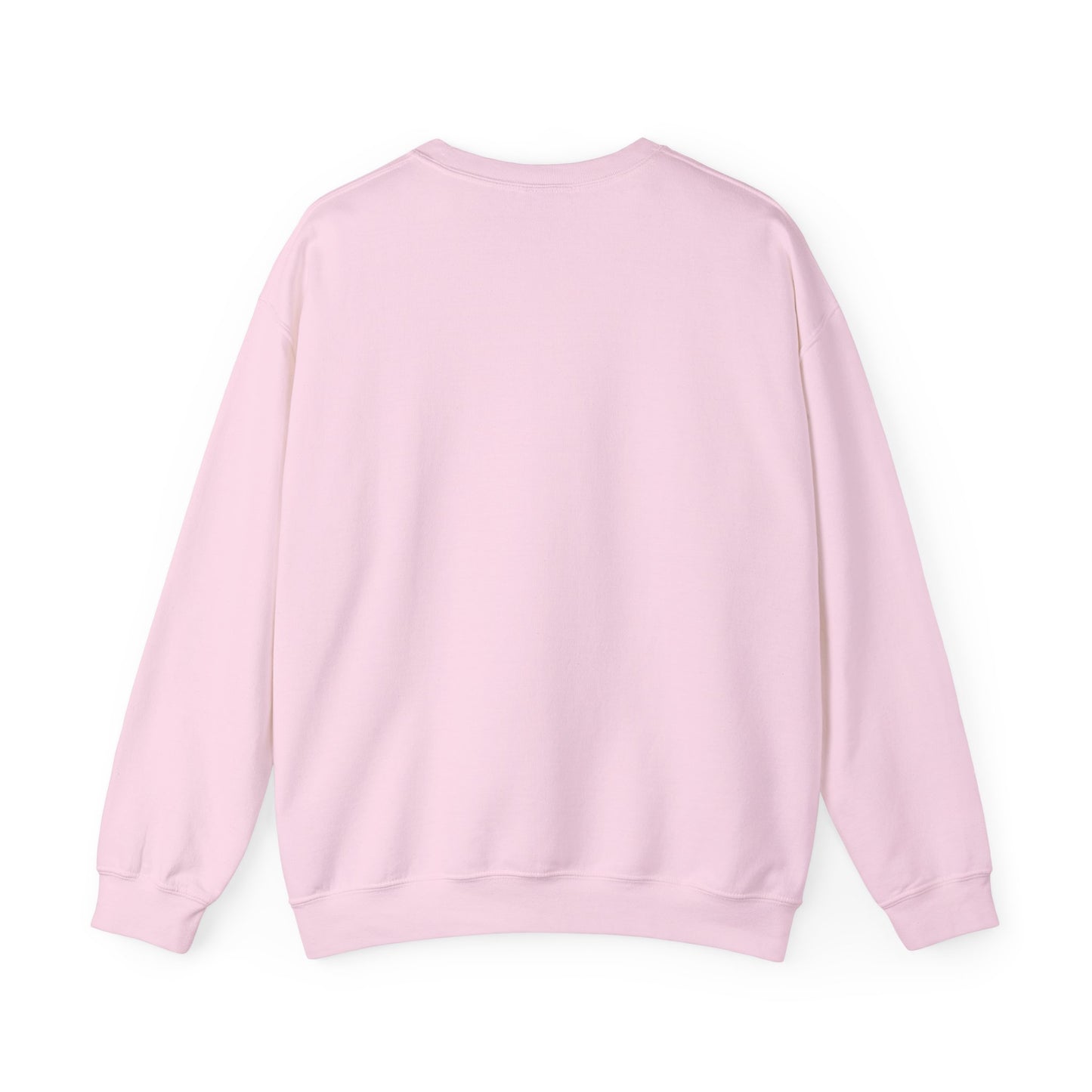 Crewneck Sweatshirt — "Crazy Cat Lady" Illustrated Cat Lover Sweater