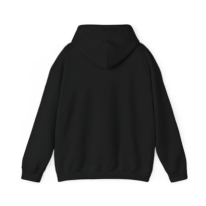 Kool Kat Unisex Hoodie - Cozy Gift for Cat Lovers, Pet Owners, Animal Lovers, Cute Sweatshirt for Relaxing, Birthday and Holiday Apparel