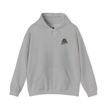 Cool Graphic Hoodie for Gaming Fans, Cozy Sweatshirt for Casual Wear, Unique Gift for Gamers, Stylish Daily Hoodie, Unisex Pull Over