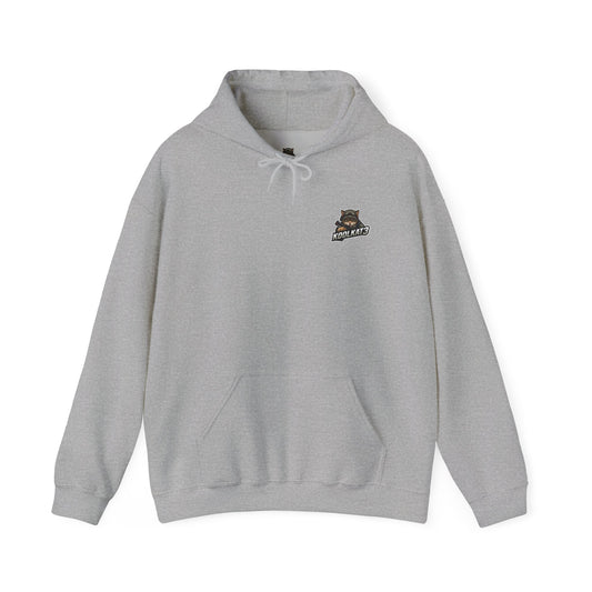 Cool Graphic Hoodie for Gaming Fans, Cozy Sweatshirt for Casual Wear, Unique Gift for Gamers, Stylish Daily Hoodie, Unisex Pull Over