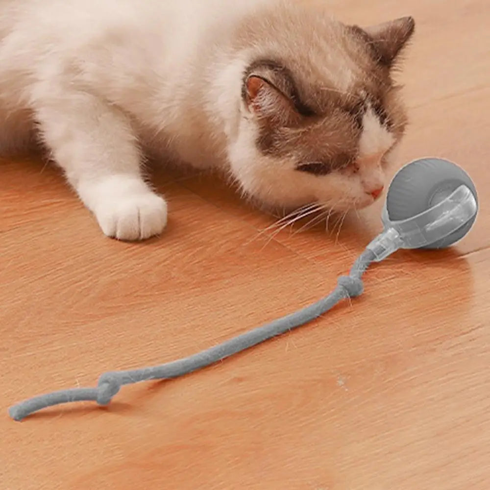 Electric Cat Ball Toys Automatic Rolling Ball Faux Tail Rechargeable Smart Pet Interactive Toy Dog Cat Training Imitate