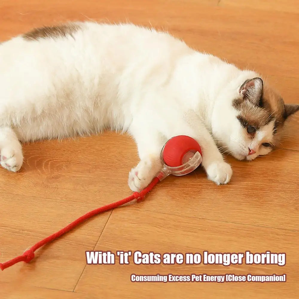 Electric Cat Ball Toys Automatic Rolling Ball Faux Tail Rechargeable Smart Pet Interactive Toy Dog Cat Training Imitate