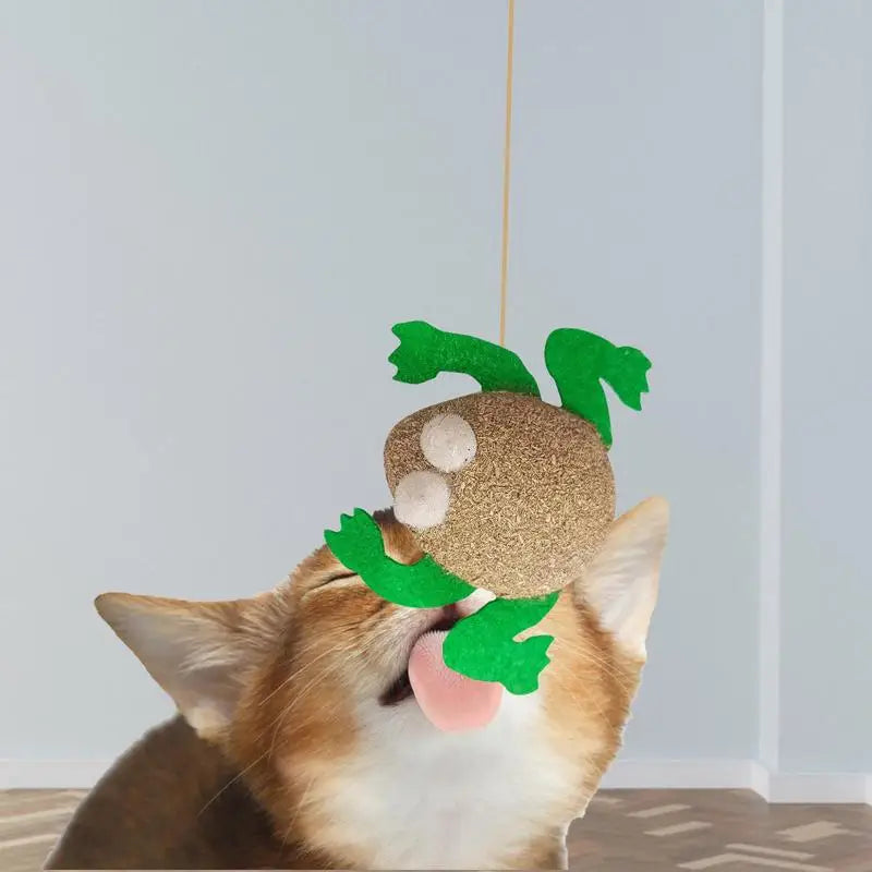 Catnip Toys Kitten Supplies Cat Toys With Catnip Cat Toys Kitten Toys Assortments Cats Molar Catnip Ball Teeth Clean Cats Molar
