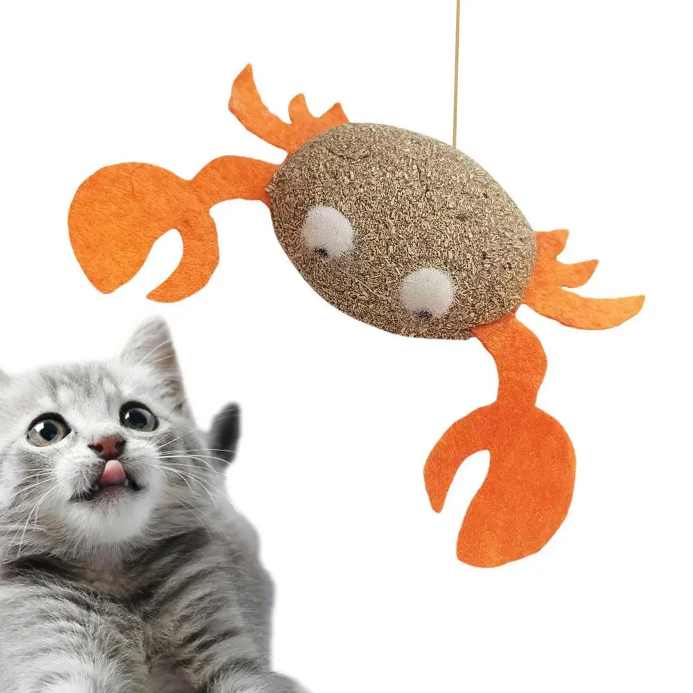 Catnip Toys Kitten Supplies Cat Toys With Catnip Cat Toys Kitten Toys Assortments Cats Molar Catnip Ball Teeth Clean Cats Molar