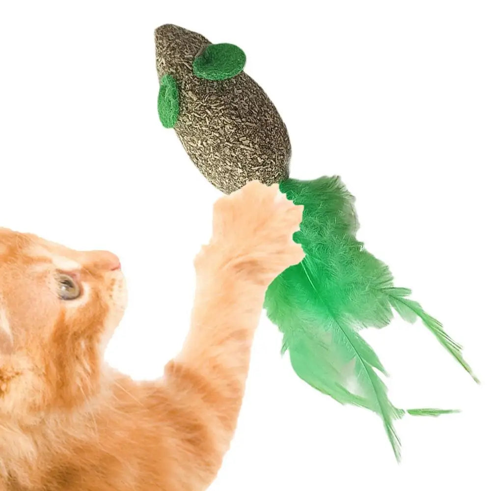 Catnip Toys Kitten Supplies Cat Toys With Catnip Cat Toys Kitten Toys Assortments Cats Molar Catnip Ball Teeth Clean Cats Molar