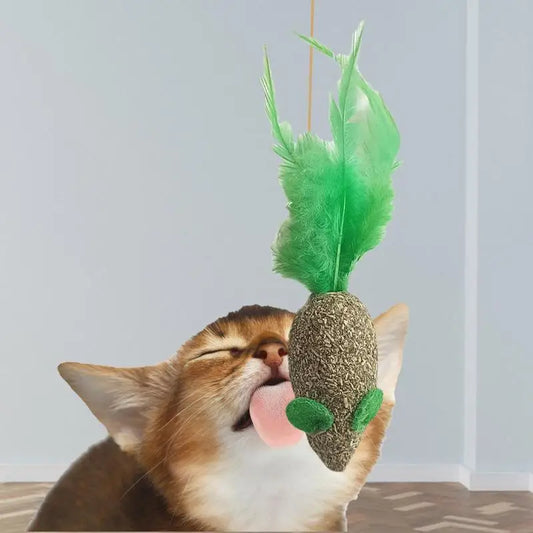 Catnip Toys Kitten Supplies Cat Toys With Catnip Cat Toys Kitten Toys Assortments Cats Molar Catnip Ball Teeth Clean Cats Molar