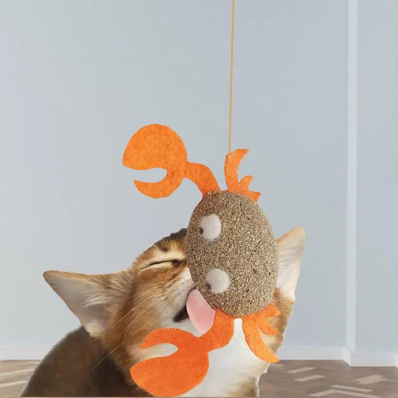 Catnip Toys Kitten Supplies Cat Toys With Catnip Cat Toys Kitten Toys Assortments Cats Molar Catnip Ball Teeth Clean Cats Molar