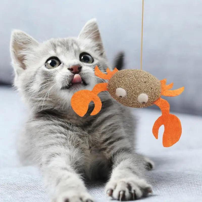 Catnip Toys Kitten Supplies Cat Toys With Catnip Cat Toys Kitten Toys Assortments Cats Molar Catnip Ball Teeth Clean Cats Molar