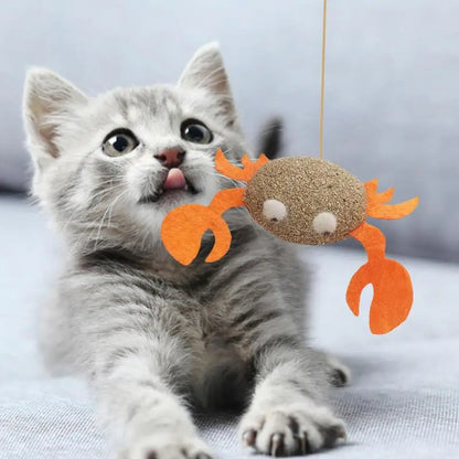 Catnip Toys Kitten Supplies Cat Toys With Catnip Cat Toys Kitten Toys Assortments Cats Molar Catnip Ball Teeth Clean Cats Molar