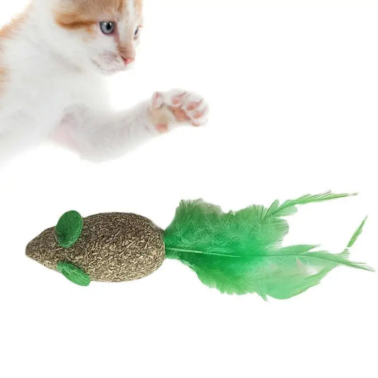 Catnip Toys Kitten Supplies Cat Toys With Catnip Cat Toys Kitten Toys Assortments Cats Molar Catnip Ball Teeth Clean Cats Molar