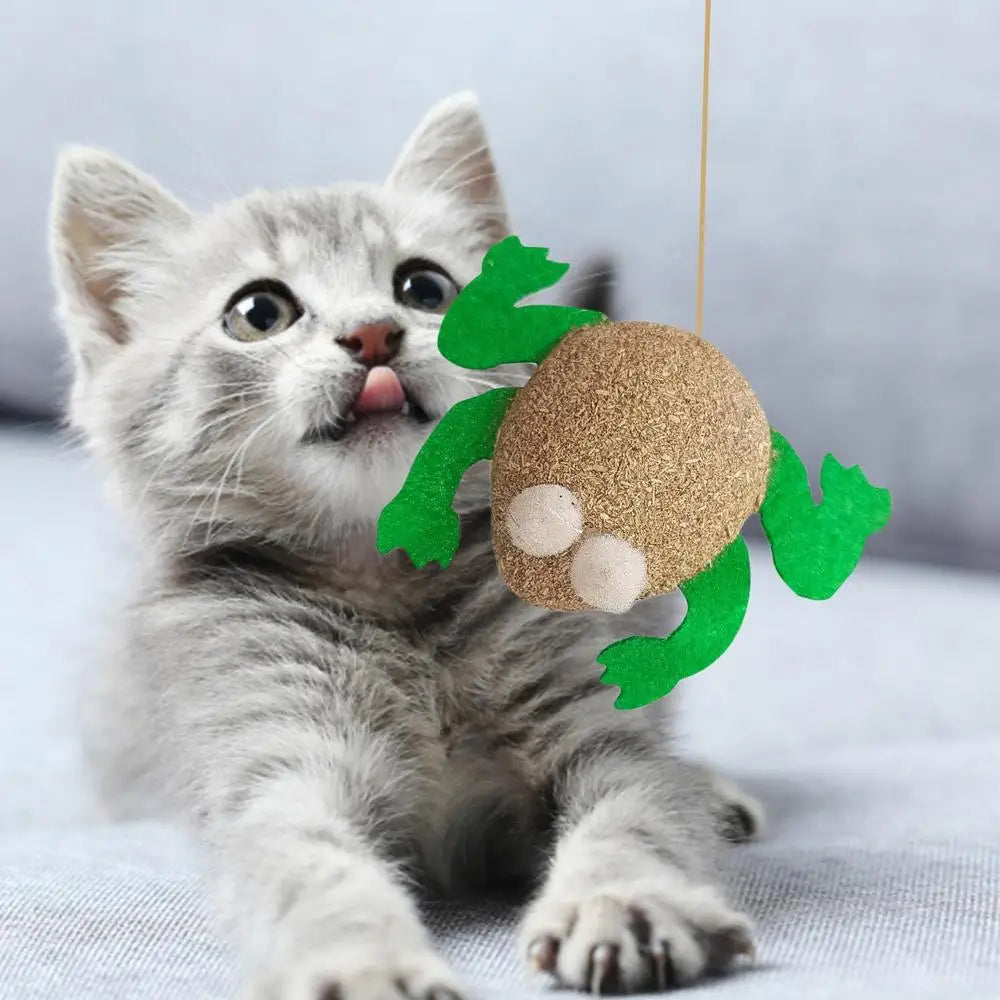 Catnip Toys Kitten Supplies Cat Toys With Catnip Cat Toys Kitten Toys Assortments Cats Molar Catnip Ball Teeth Clean Cats Molar