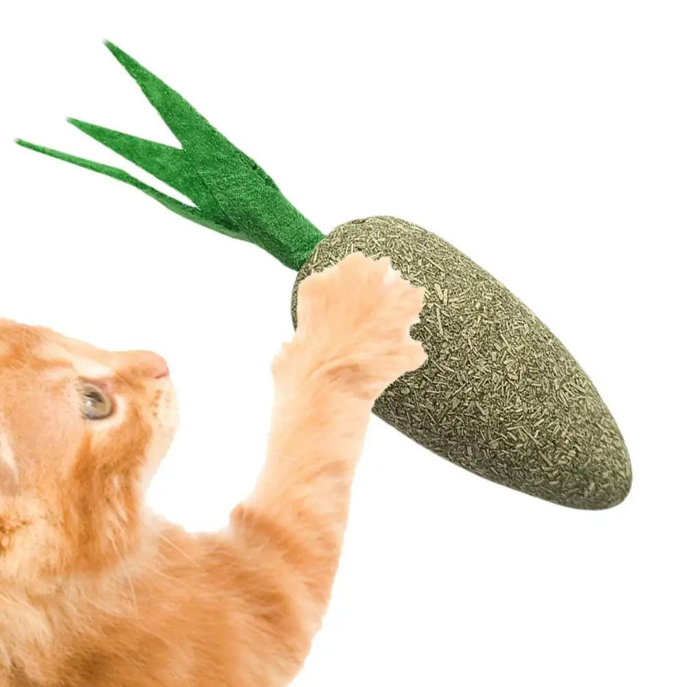 Catnip Toys Kitten Supplies Cat Toys With Catnip Cat Toys Kitten Toys Assortments Cats Molar Catnip Ball Teeth Clean Cats Molar