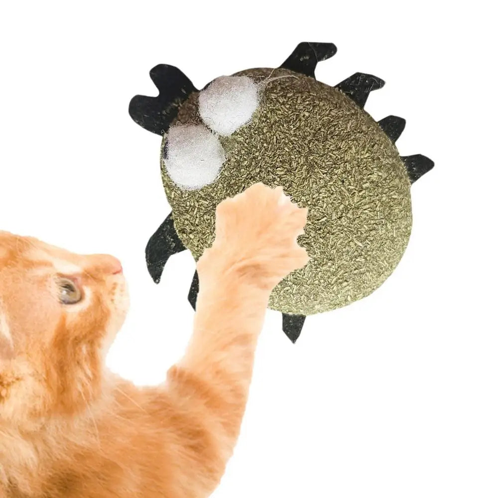 Catnip Toys Kitten Supplies Cat Toys With Catnip Cat Toys Kitten Toys Assortments Cats Molar Catnip Ball Teeth Clean Cats Molar