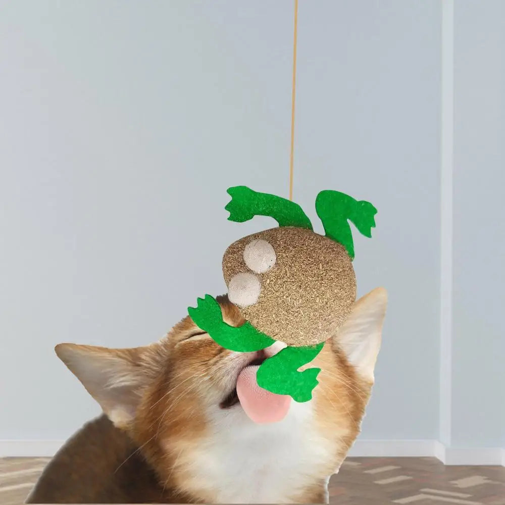 Catnip Toys Kitten Supplies Cat Toys With Catnip Cat Toys Kitten Toys Assortments Cats Molar Catnip Ball Teeth Clean Cats Molar